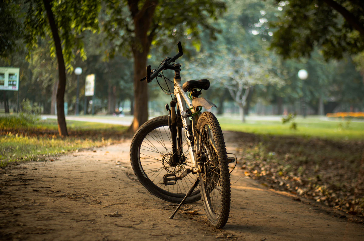 Electric bike registration in Pakistan
